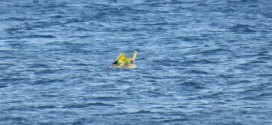 Baby Floats Out To Sea? Coastguard rescues 10-month-old baby left to drift 1km out to sea (Video)