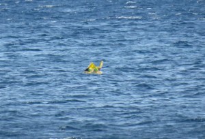 Baby Floats Out To Sea? Coastguard rescues 10-month-old baby left to drift 1km out to sea (Video)