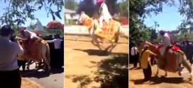 Drugged Horse Throws Sikh Groom Into Canadian Air (Video)