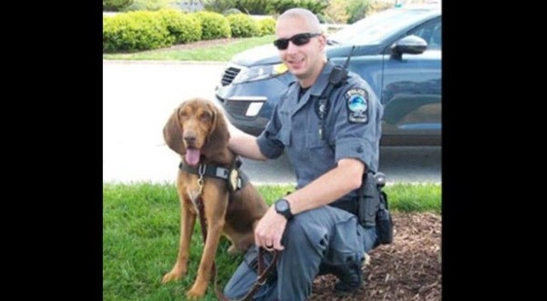 K-9 dies after being left in handler’s hot patrol car “Video”