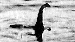 Loch Ness Monster hunter hooked on catfish theory, 'Expert'