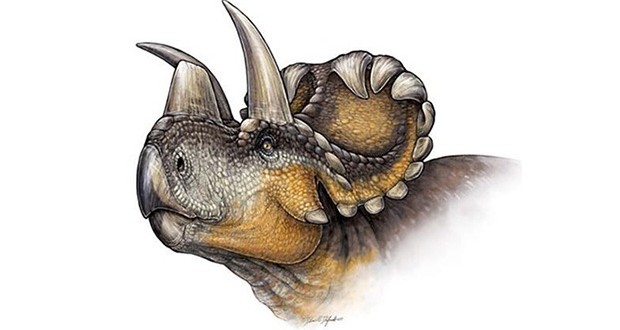 Researchers Discover a New Horned Dinosaur (Video)
