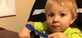 Toddler Missing : Idaho Sheriff rules out possible lead on missing 2-year-old