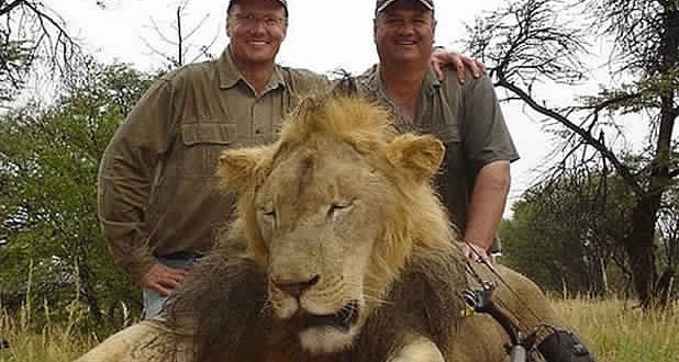 Walter Palmer : American who killed Cecil the lion closes Minnesota dental practice