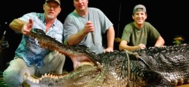 920-pound gator pulled from Alabama lake (Photo)