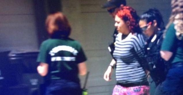 Arizona mom accused of drowning twin sons in bathtub