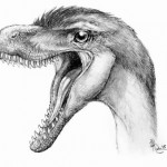 Big dino discovery in tiny teeth, Report