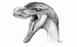 Big dino discovery in tiny teeth, Report