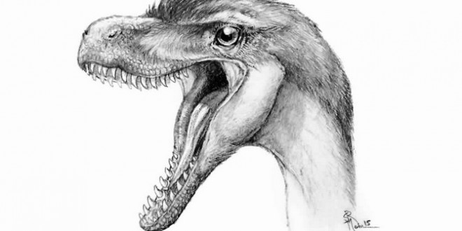 Big dino discovery in tiny teeth, Report