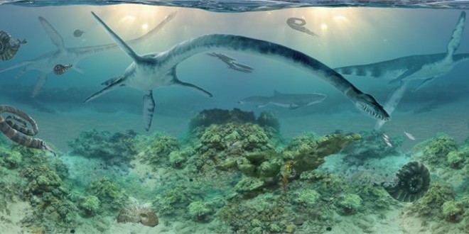 Elasmosaur : Remains of Ancient Long-Necked Marine Reptile Found in Alaska