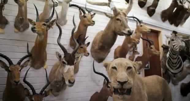 Human 'super-predators' should change their habits
