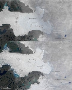 Massive glacier calf can be seen from space (Photo)