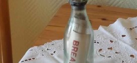 Message in a bottle washes up in Germany after 100 years at sea (Photo)