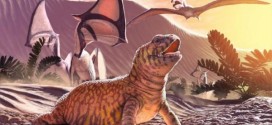 New Fossil of extinct reptile could solve the mystery of lizard evolution