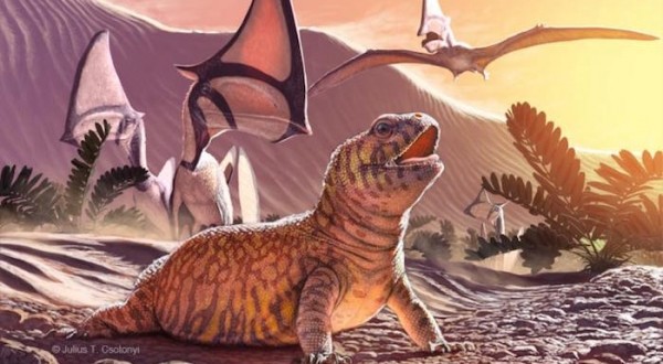 New Fossil of extinct reptile could solve the mystery of lizard evolution