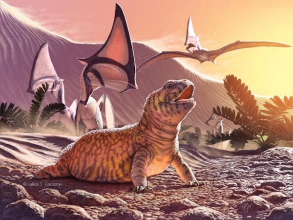 fossil traders found amazing prehistoric reptile