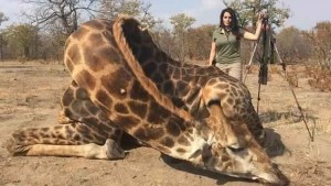 Sabrina Corgatelli : US huntress sparks fury by posting selfie with dead giraffe in South Africa