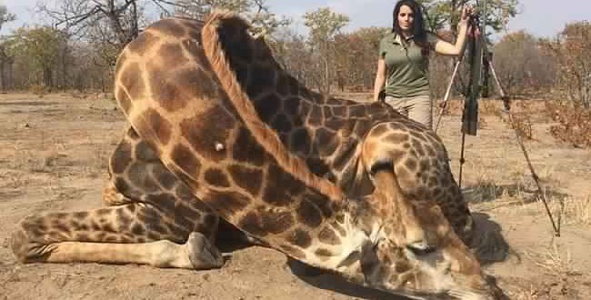 Sabrina Corgatelli US huntress sparks fury by posting selfie with dead giraffe in South Africa