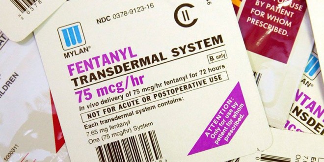 Toronto Police Warn Of Fentanyl Use