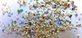 8 Trillion Plastic Microbeads Threaten Marine Creatures, Report