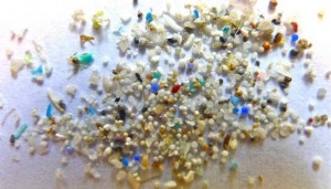 8 Trillion Plastic Microbeads Threaten Marine Creatures, Report