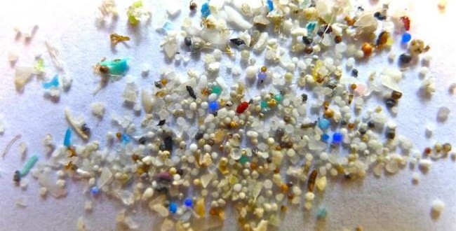 8 Trillion Plastic Microbeads Threaten Marine Creatures, Report