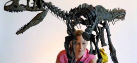 Allosaurus Skeleton to Be Auctioned in UK for Under $1 Million