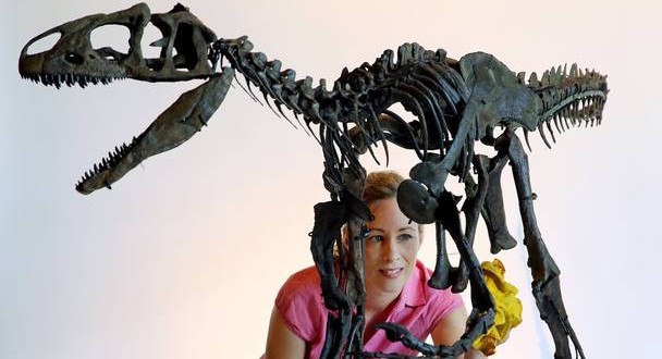 Allosaurus Skeleton to Be Auctioned in UK for Under $1 Million “Photo”