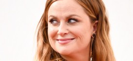 Amy Poehler : Star Loses Lead Actress in a Comedy Emmy to Friend Julia Louis-Dreyfus