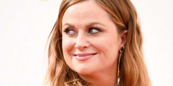 Amy Poehler : Star Loses Lead Actress in a Comedy Emmy to Friend Julia Louis-Dreyfus