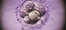 British scientists Apply For Permission To Alter DNA Of Human Embryos
