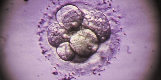 British scientists Apply For Permission To Alter DNA Of Human Embryos