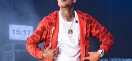Chris Brown : Singer Wins Joint Custody of His Daughter Royalty