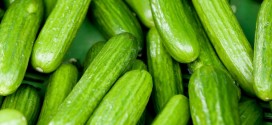 Cucumber recall expanded due to salmonella risk, Report