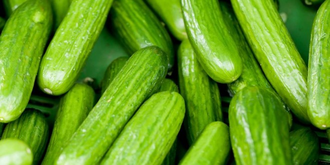 Cucumber recall expanded due to salmonella risk, Report