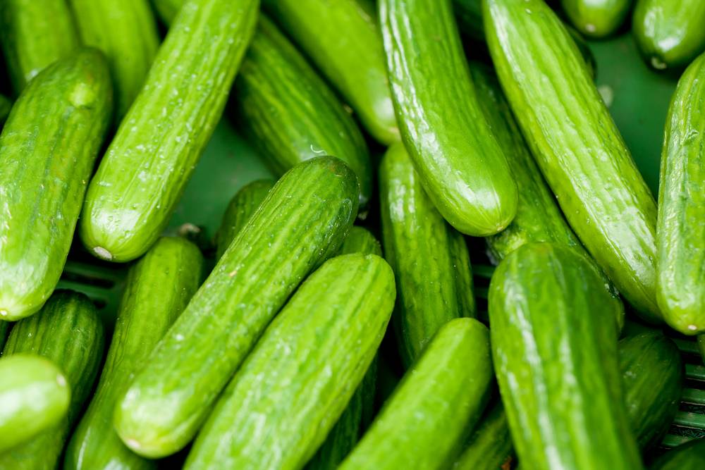 Cucumber Recall Canada 2025 Update Mina Suzann