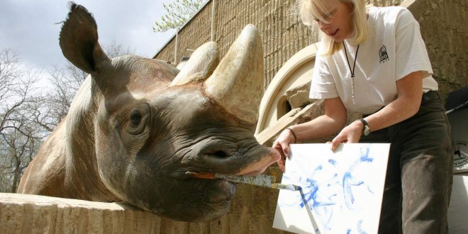 Denver zoo mourns death of beloved black rhinoceros known for his paintings “Photo”