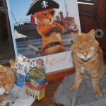 Erik The Red : Retirement party held for cat who caught mice aboard CSS Acadia
