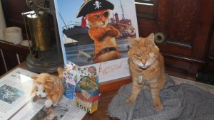 Erik The Red : Retirement party held for cat who caught mice aboard CSS Acadia