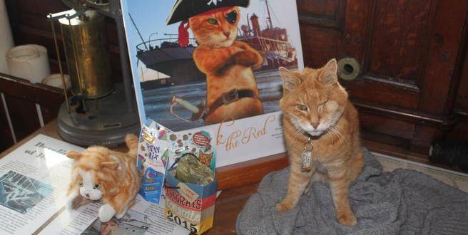 Erik The Red Retirement party held for cat who caught mice aboard CSS Acadia