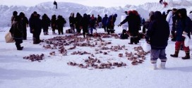 Gene mutations explain Inuit's adaptation to high-fat diet in Arctic, Study