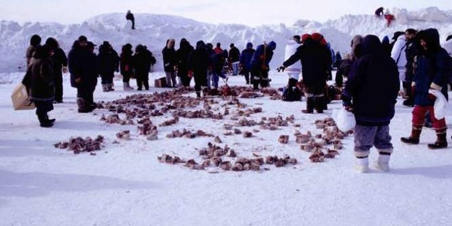 Gene mutations explain Inuit's adaptation to high-fat diet in Arctic, Study