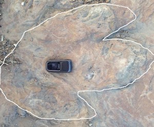 Geology Carina Helm discovers tyrannosaur track near Tumbler Ridge (Photo)