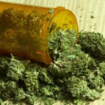 Medical marijuana appears to be safe, study shows