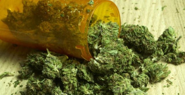 Medical marijuana appears to be safe, study shows