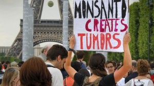 Monsanto guilty of chemically poisoning French farmer "Paul François"