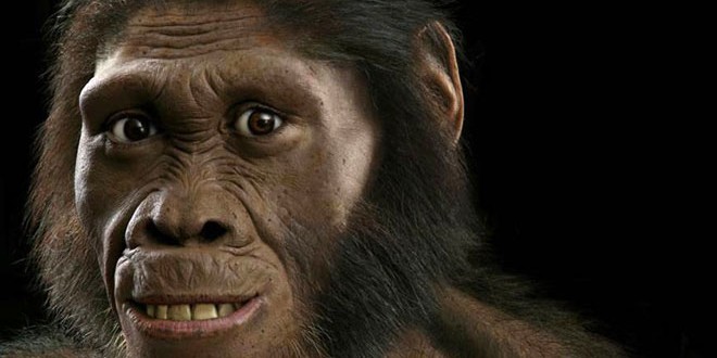 New human ancestor discovered in Africa, new study says