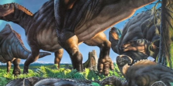 New species of dinosaur found in Alaska, scientists say (Video)