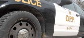 OPP see increase in traffic-related charges over last Labour Day weekend, Report