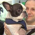 Pilot diverts international flight to save dog's life (Video)